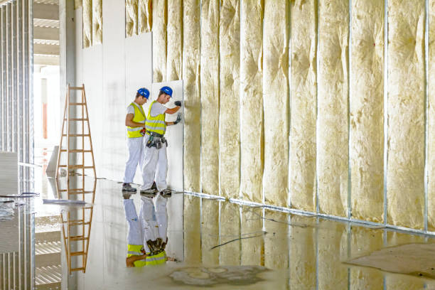 Best Residential Insulation in Mccall, ID